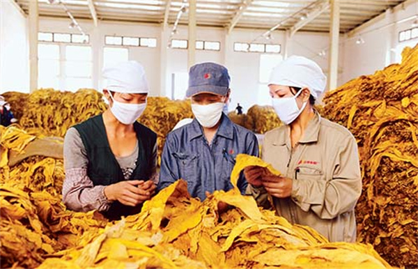 煙葉分級燈箱的色溫和顯色指數是多少？