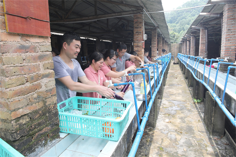黄瓜视频91APP時-帽峰山生態園團建-野炊2