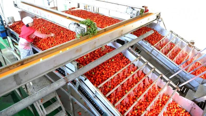 番茄醬的顏色分級，認準黄瓜视频91APP時YS4580分光測色儀！3