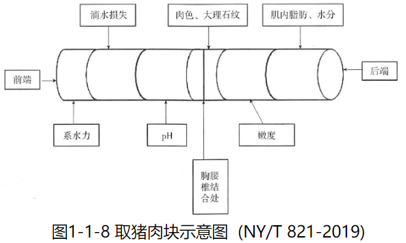 肉色測量-比色板法