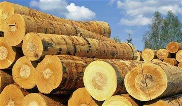 天然板材的黄瓜成人在线视频，選用NR20XE電腦黄瓜视频免费看！