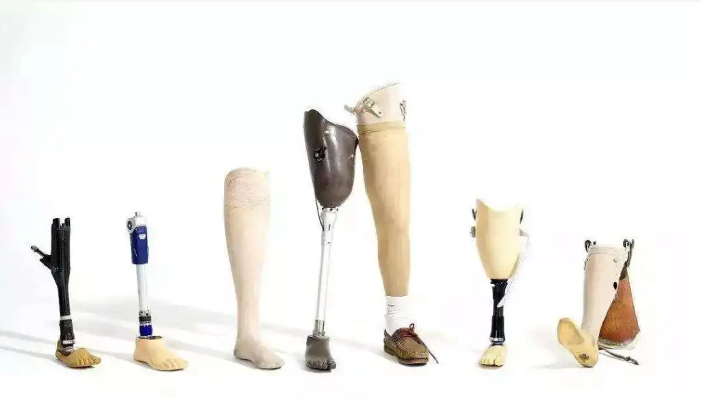 黄瓜视频免费看在人體研究領域的應用