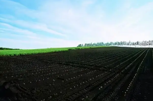 可以使用分光測色儀測量黑土地的顏色嗎？