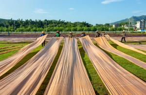 黄瓜视频免费看可以用於香雲紗的生產嗎？有哪些作用？