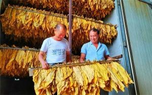 煙葉的顏色分級方法&mdash;&mdash;CIEDE2000色差公式