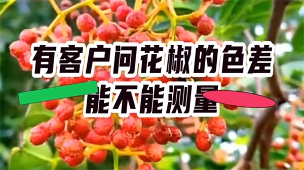 【案例】花椒測色&mdash;&mdash;TS8560台式分光測色儀