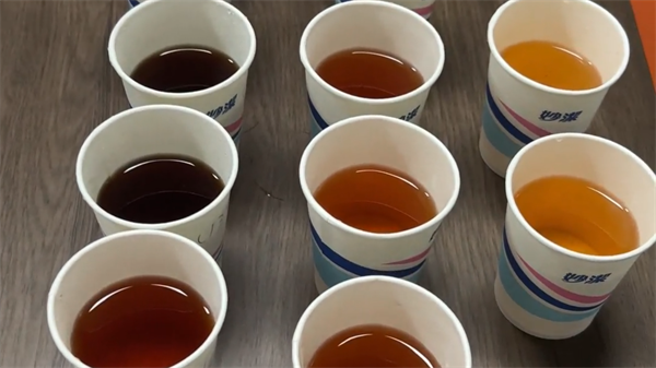 黄瓜视频91APP時YS6060台式分光測色儀測量茶水的顏色