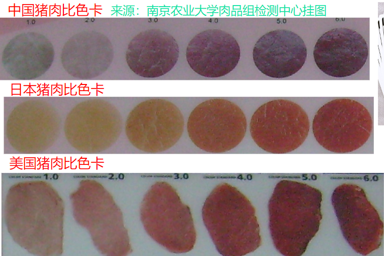 肉色測量方法&mdash;&mdash;比色板法