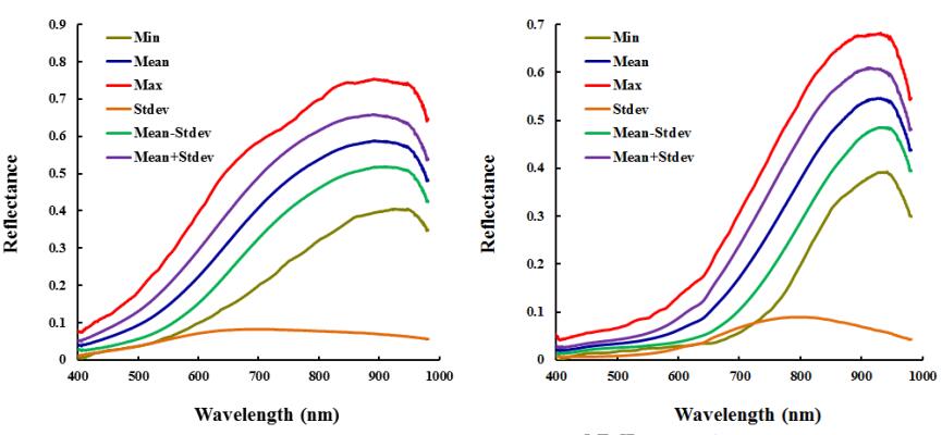 光的反射率：從基本原理到現實應用的完整解析